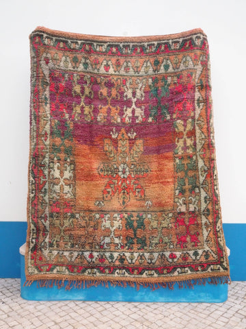 Farah - 225 x 170cm - Äventyr