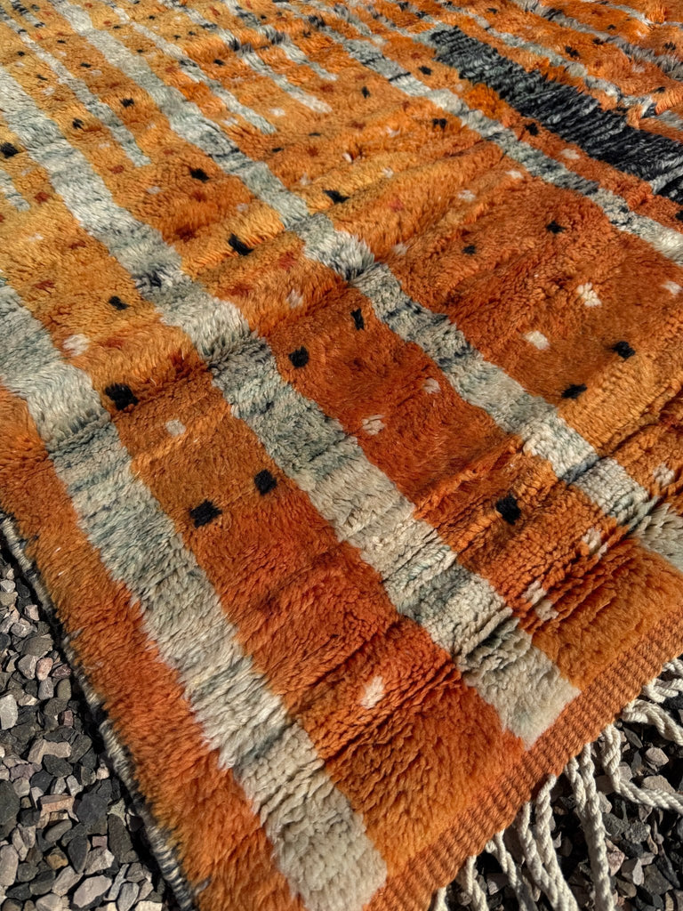 Warm life - 305 x 240 cm - Äventyr